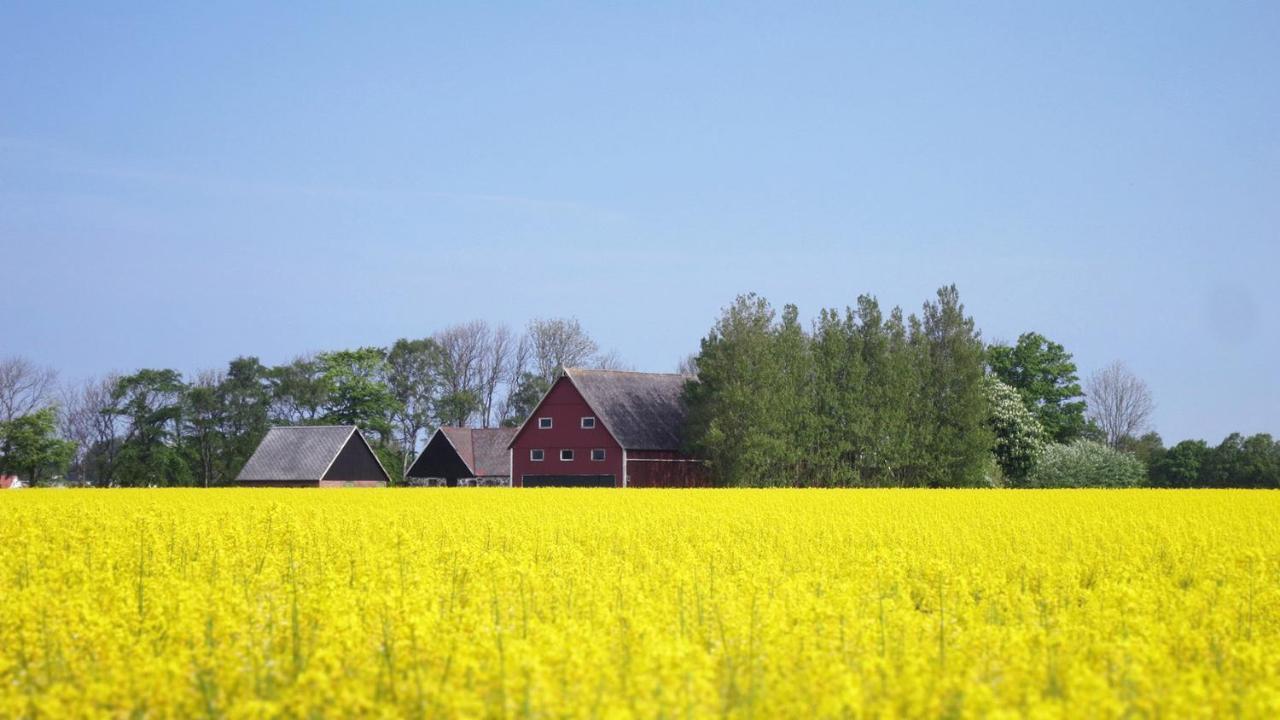 Vikens Bed And Breakfast Viken (Skane) Exterior foto